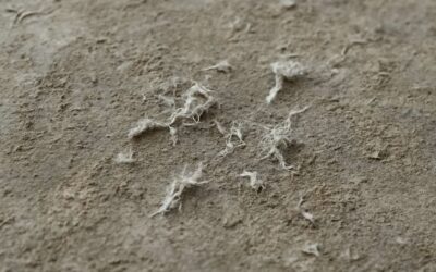 How to Spot and Safely Remove Asbestos on Concrete Floor for Your Home Safety